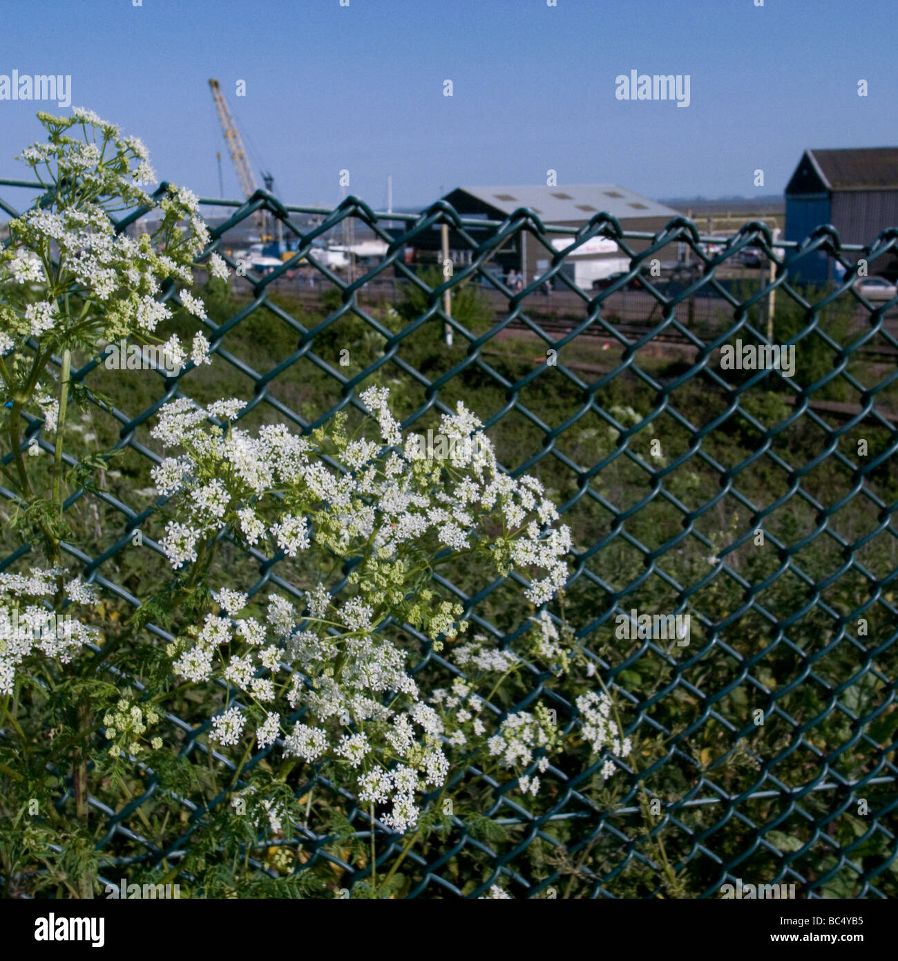Essex marshes leigh on sea hires stock photography and images Alamy