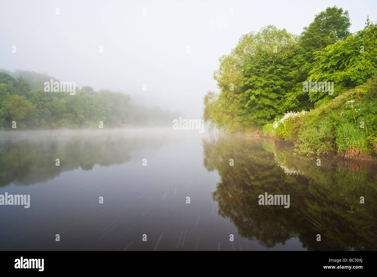 Mist rising over the fast-flowing waters of the River Tyne on a summer's morning near the vilage of Wylam, Northumberland Stock Photo