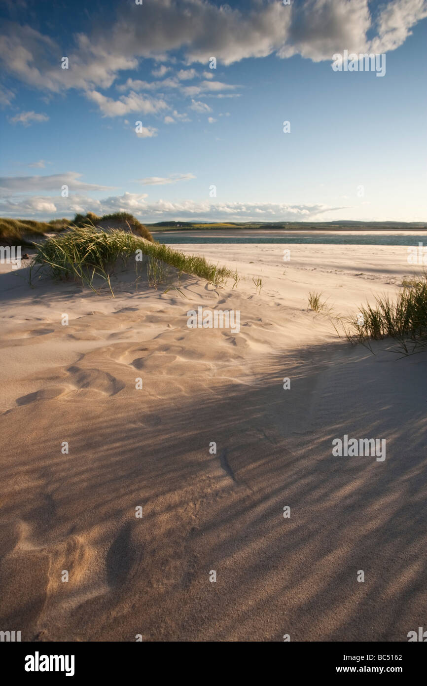 The long shadows of dune grass being cast across the sand of Budle Bay on a midsummer's evening, Northumberland, England Stock Photo
