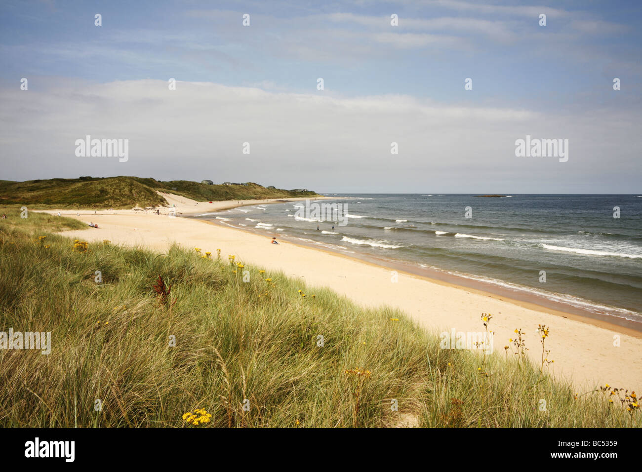 Embleton Beach Northumberland Stock Photo Alamy