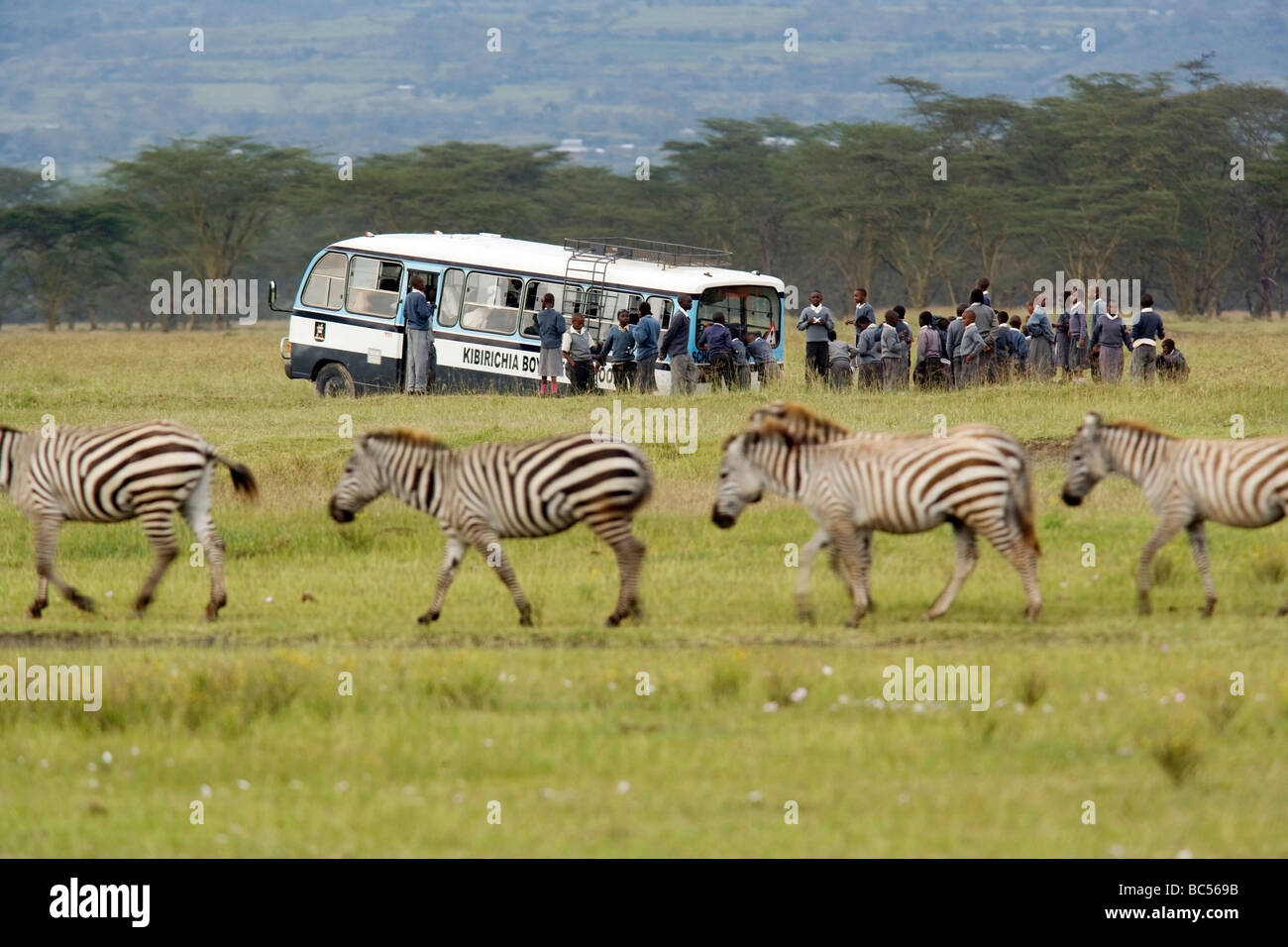 Broken down school bus in Lake Nakuru National Park, Kenya Stock ...