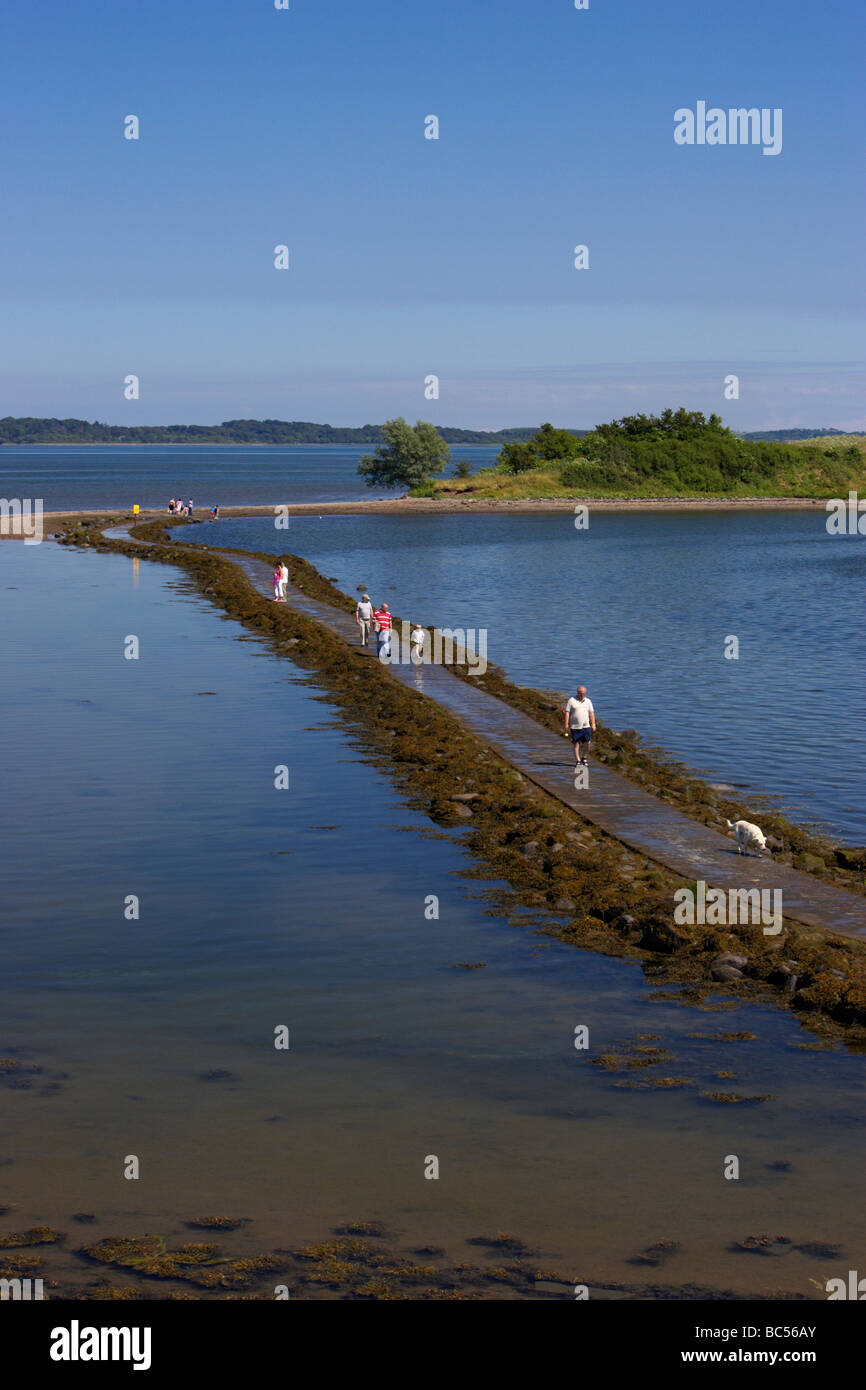 tourists walking concrete causeway at low tide to rough island from island hill near comber in strangford lough county down Stock Photo