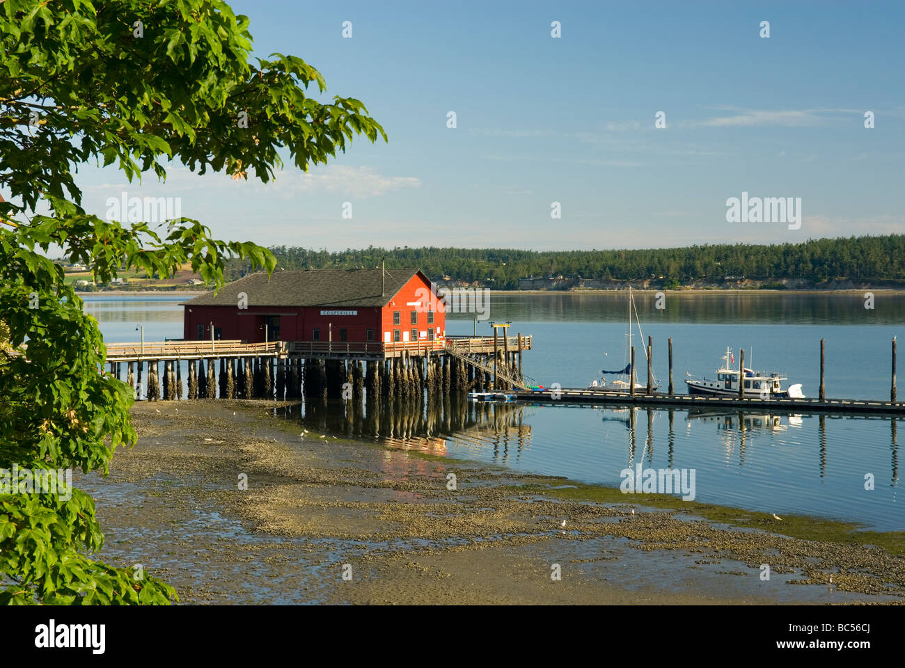 Penn cove whidbey hires stock photography and images Alamy