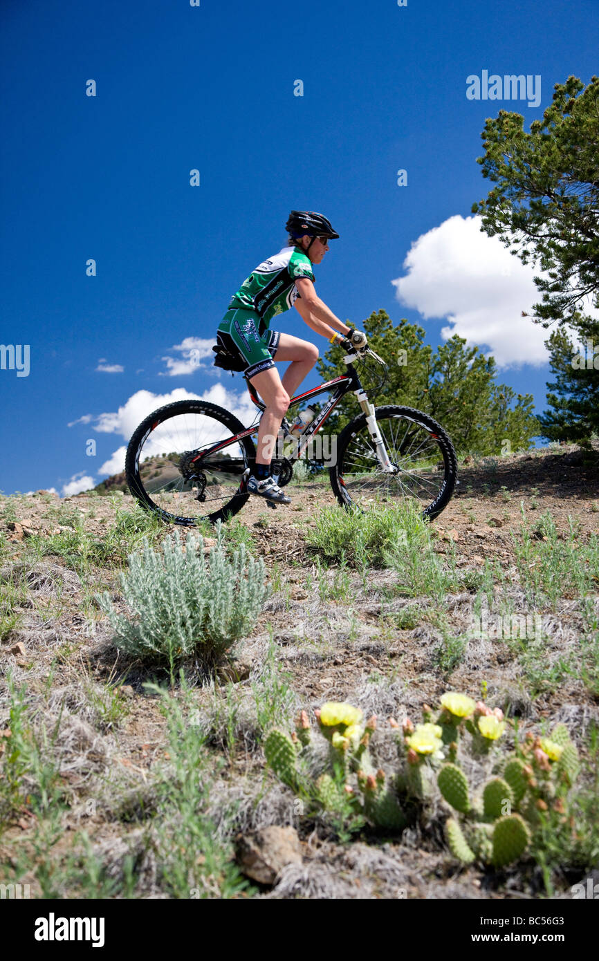 Cyclist competing in the Fibark Mountain Bike race on Tenderfoot Mountain Salida Colorado USA Stock Photo