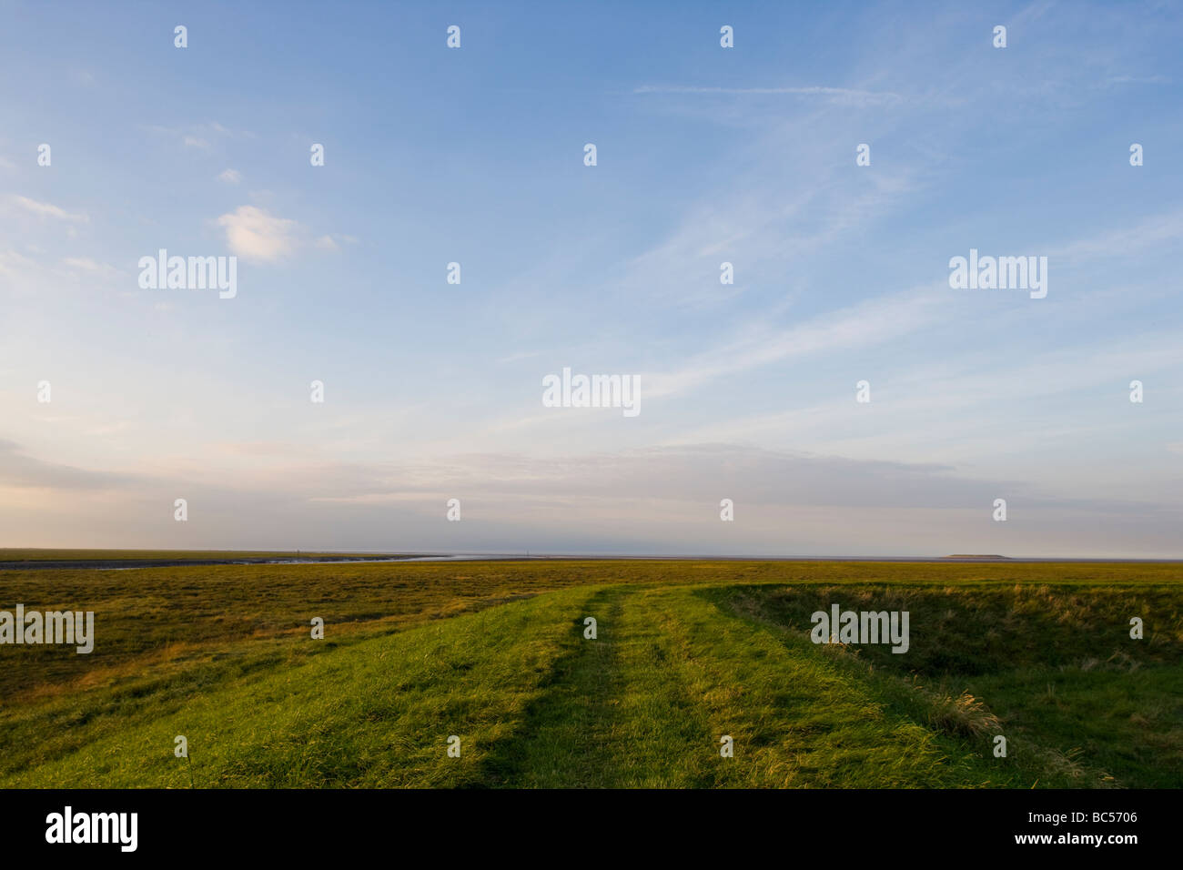 Guys Head Terrington Marsh The Wash Lincolnshire England Stock Photo