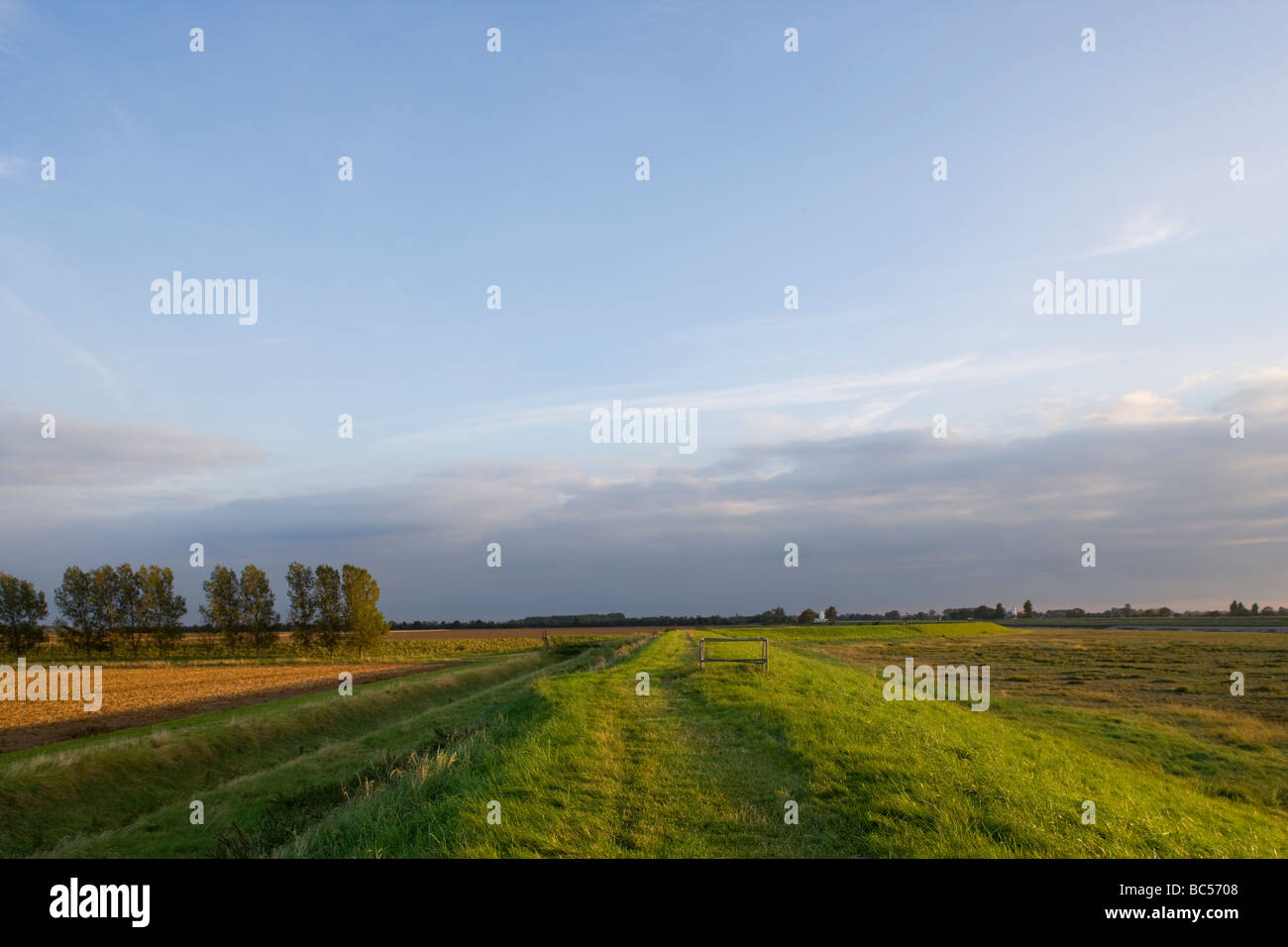 Guys Head Terrington Marsh The Wash Lincolnshire England Stock Photo 