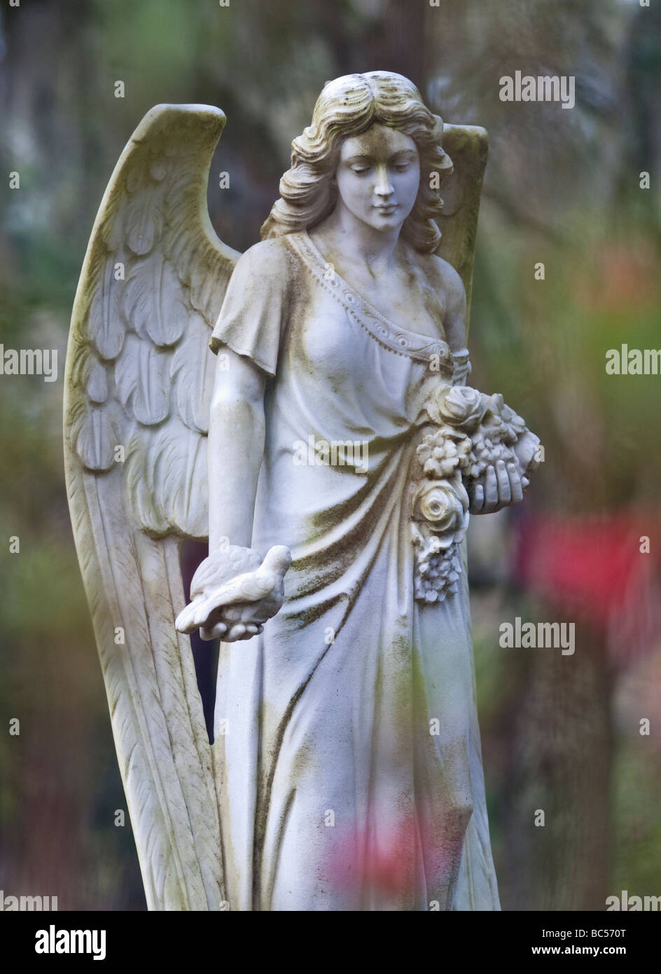 Statue of an Angel in Bonaventure Cemetery in Savannah Georgia Stock Photo