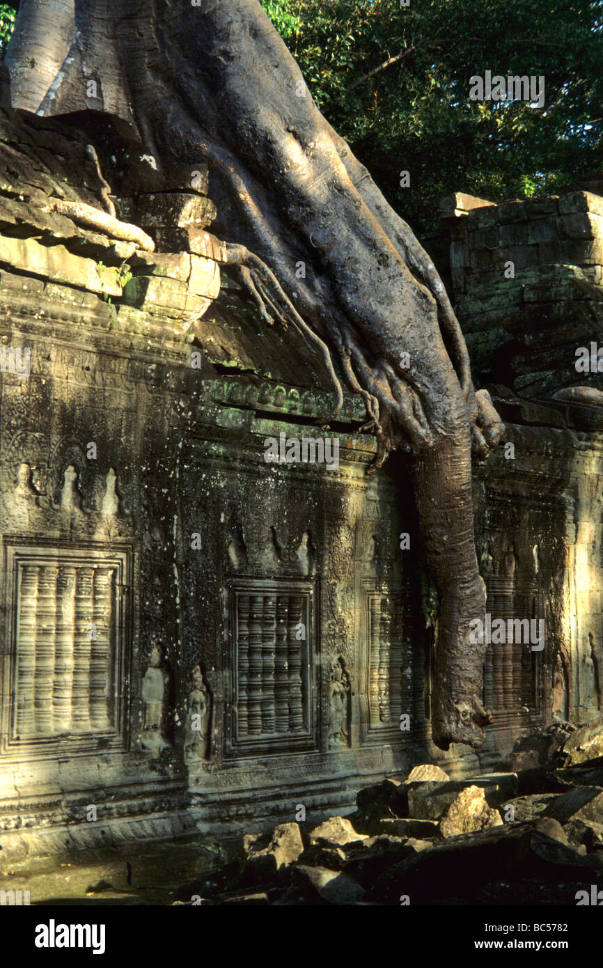 cambodia angkor vat Stock Photo - Alamy