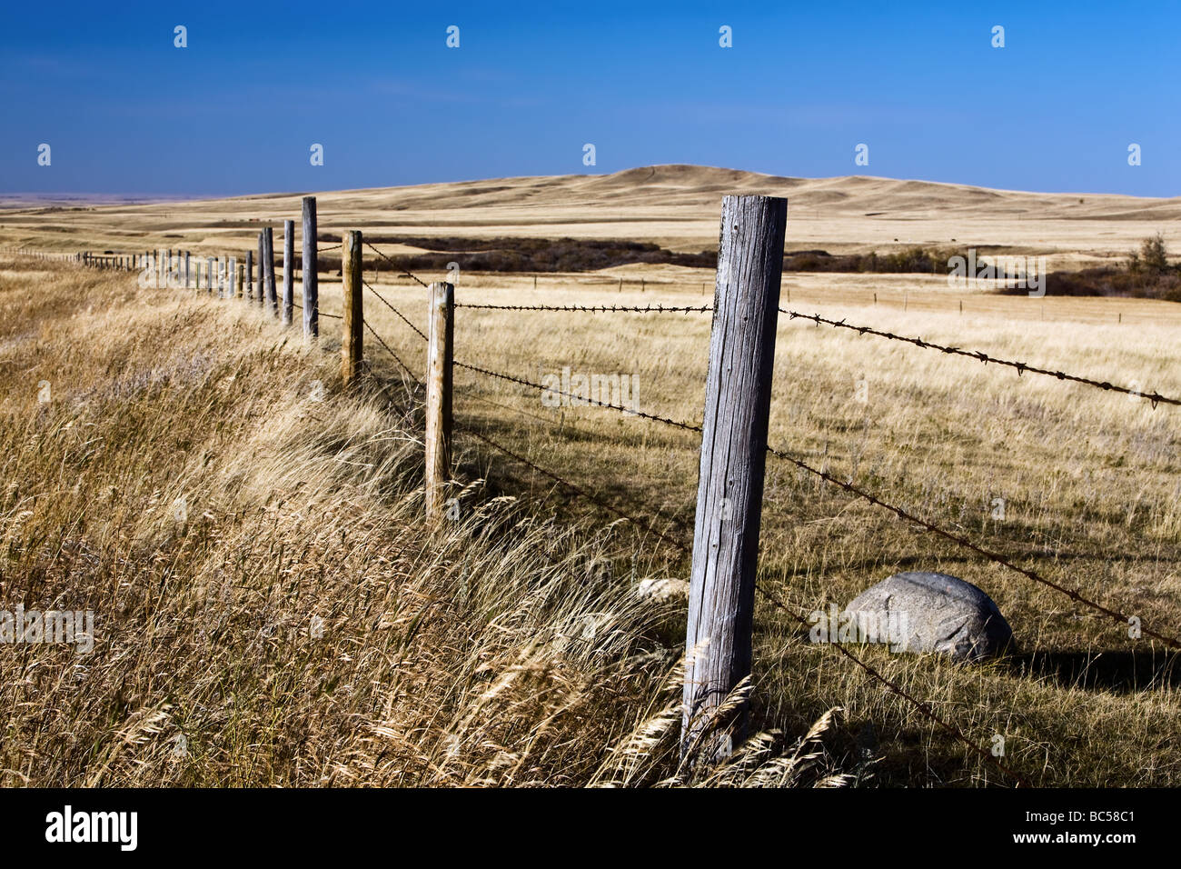 Barbed-wire fence, Cypress Hills Provincial Park, Saskatchewan, Canada. Stock Photo