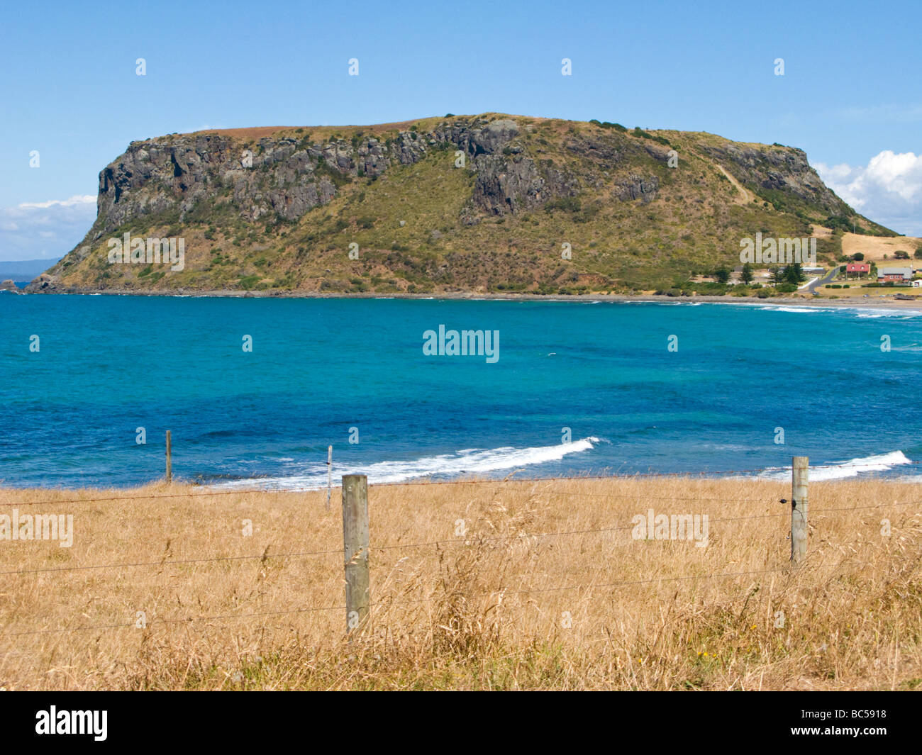 The nut Stanley Tasmania Australia Stock Photo