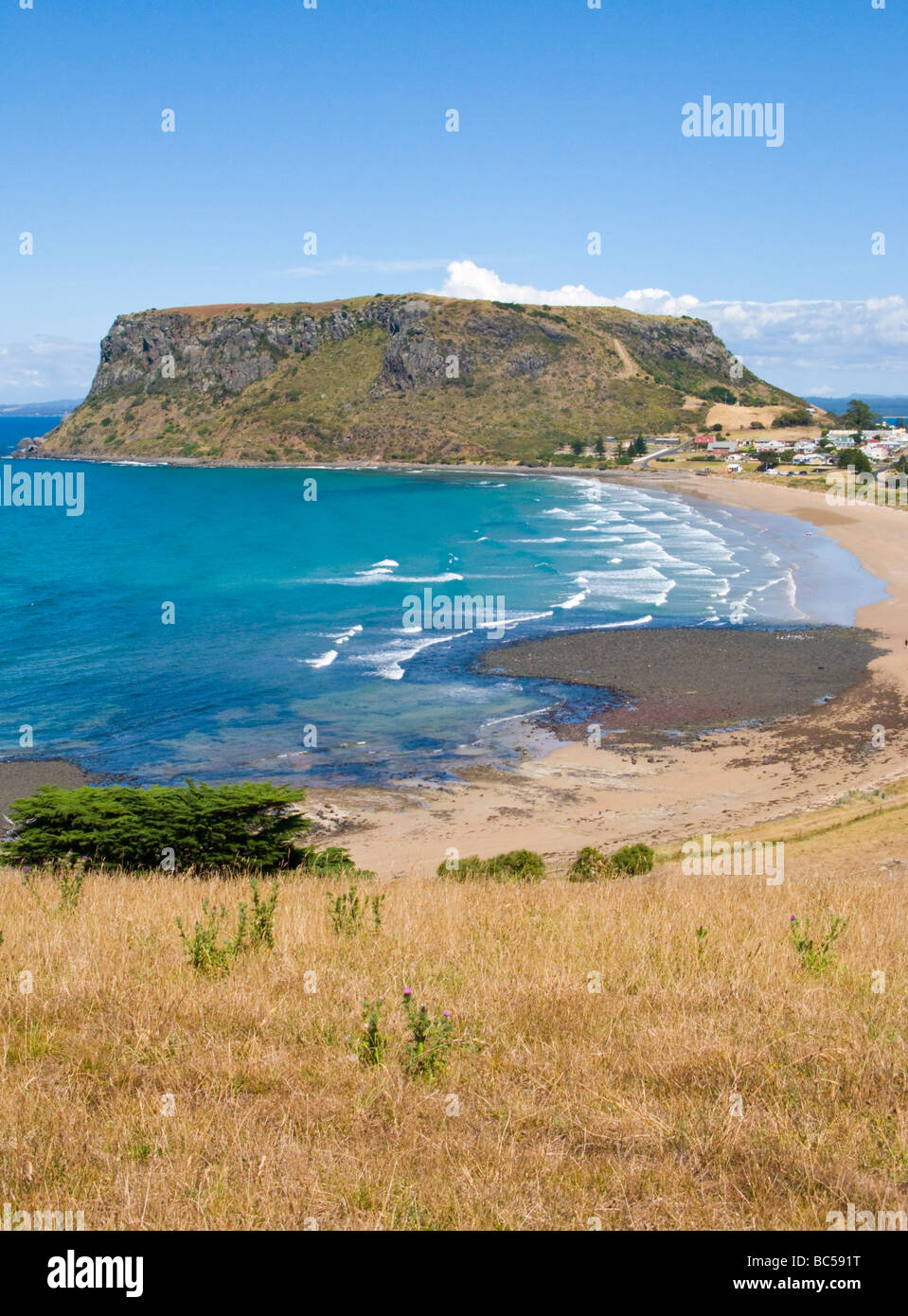 The nut Stanley Tasmania Australia Stock Photo Alamy
