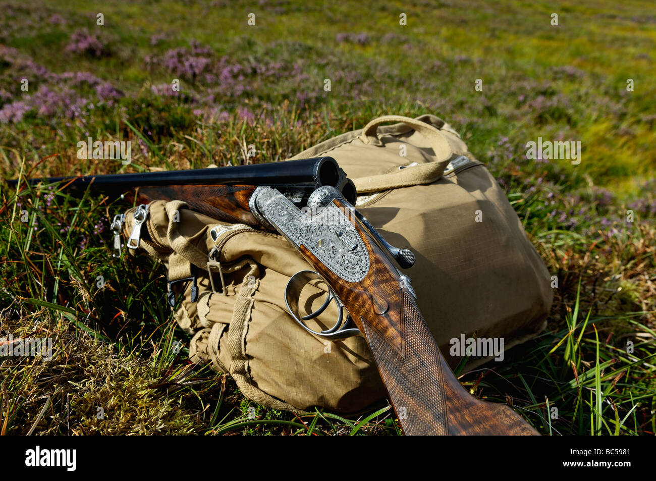 Holland and Holland English Best Shotgun with Open Breech Lying on Cartridge Bag on Moor in the Highlands of Scotland Stock Photo