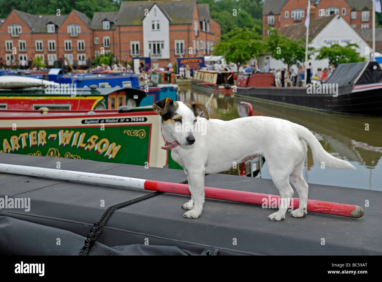 Dog narrow boat hi-res stock photography and images - Alamy