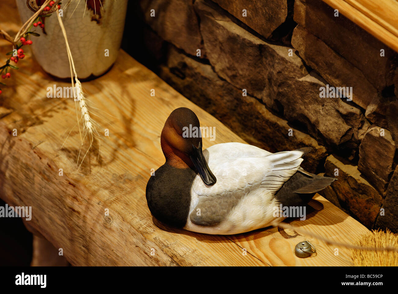 Decoy of Canvasback Duck on Rustic Wood Mantel Stock Photo