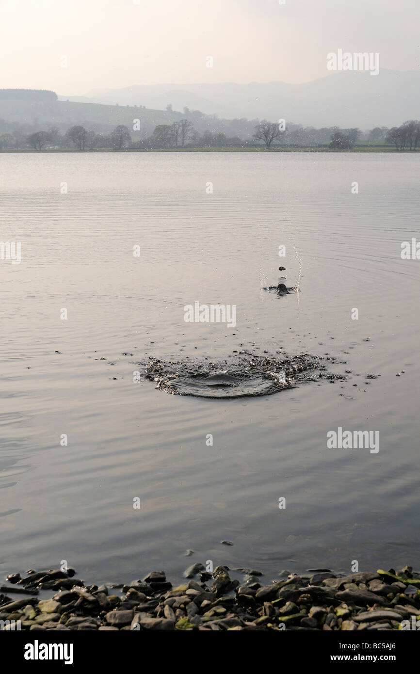 Stone skipping across the surface of Lake Bala in Snowdonia, Wales Stock Photo