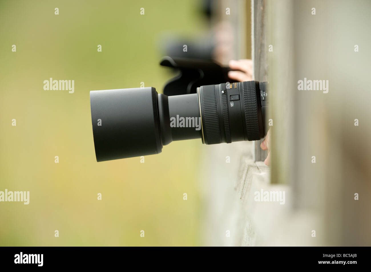 Photography hide wildlife bird hi-res stock photography and images - Alamy