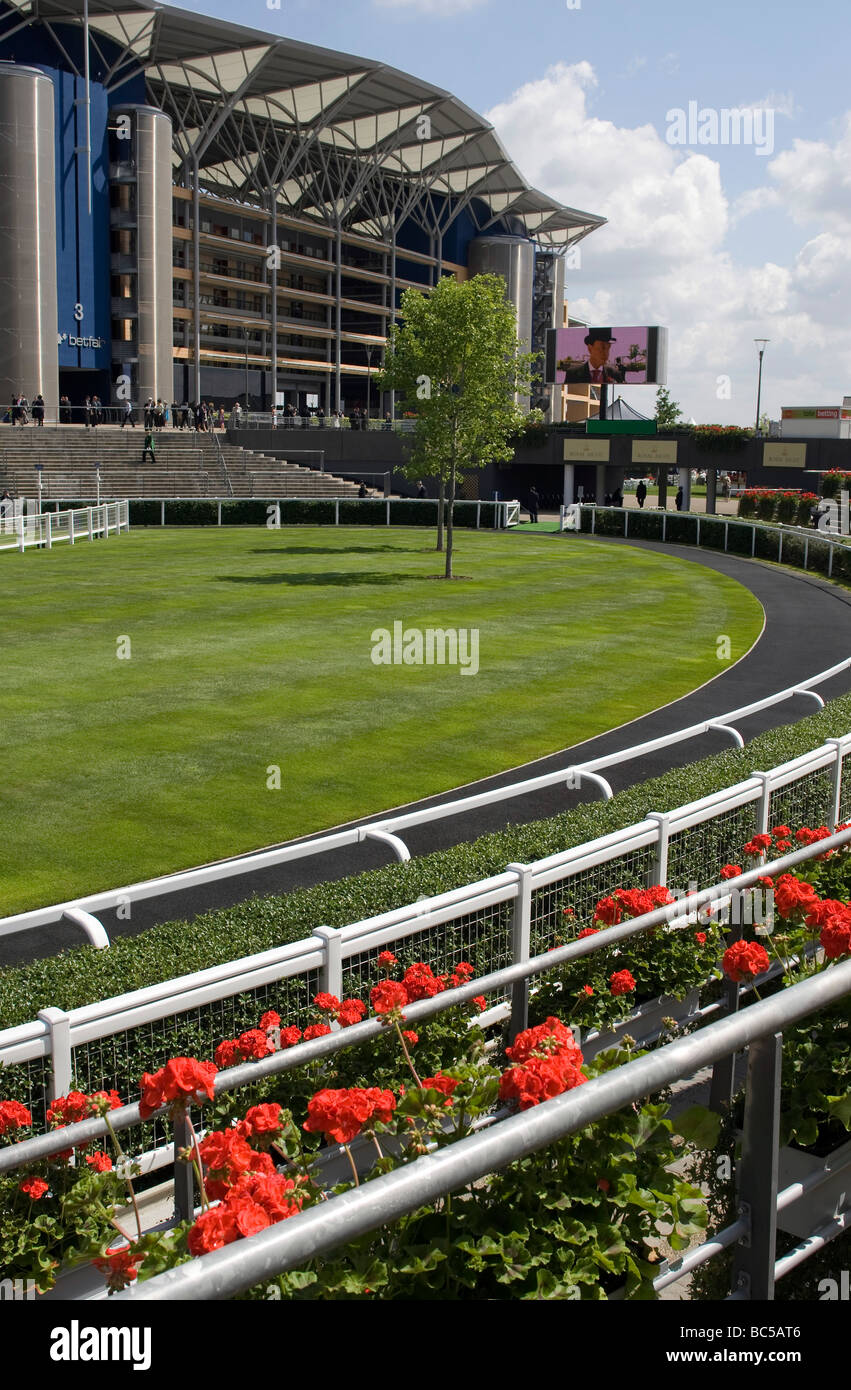 The paddock ring and main stand at Royal Ascot race course Stock Photo