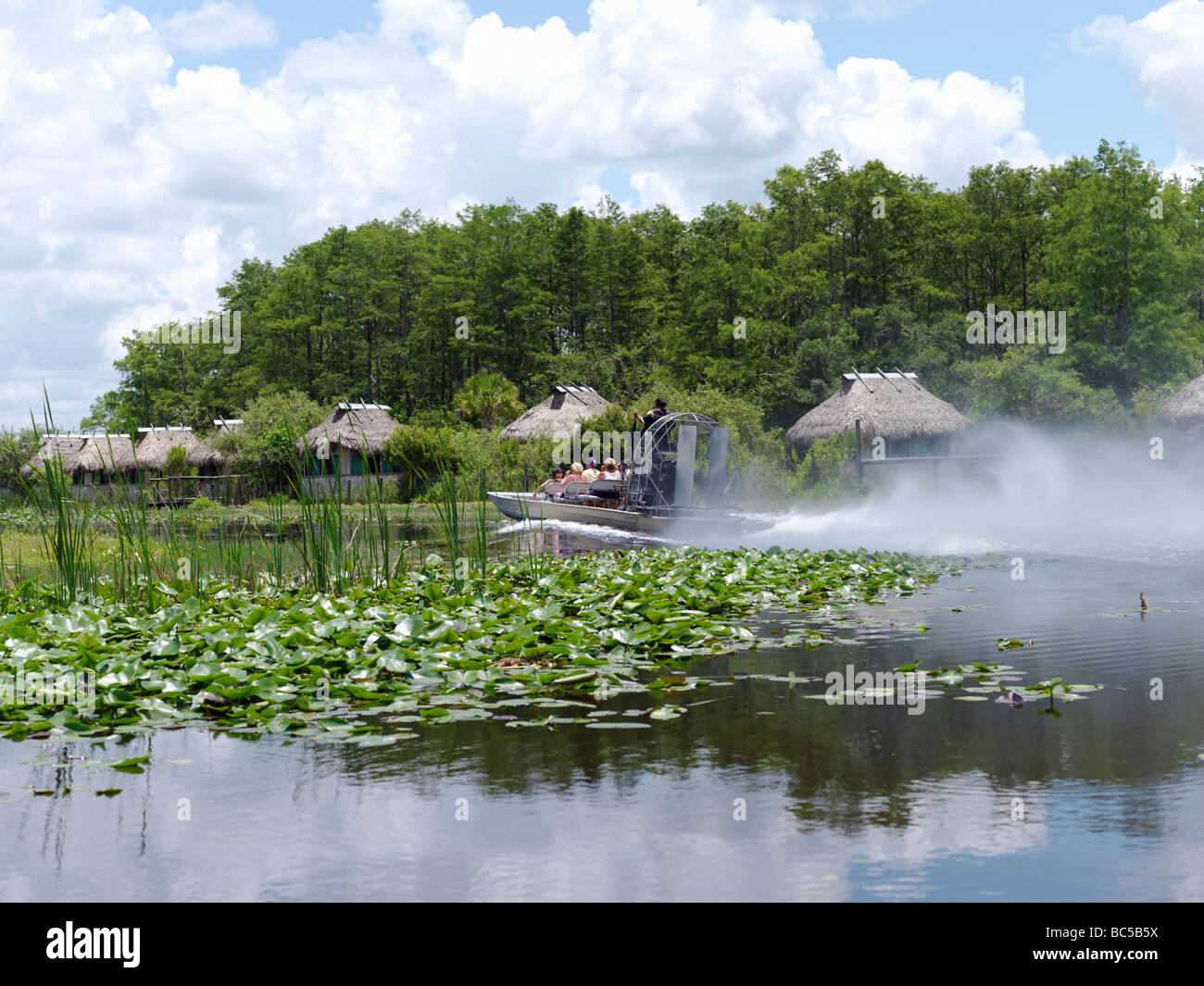 air foil tour operator of Florida Everglades,Big Cypress Seminole Indian Reservation  Billy Swamp safari Stock Photo