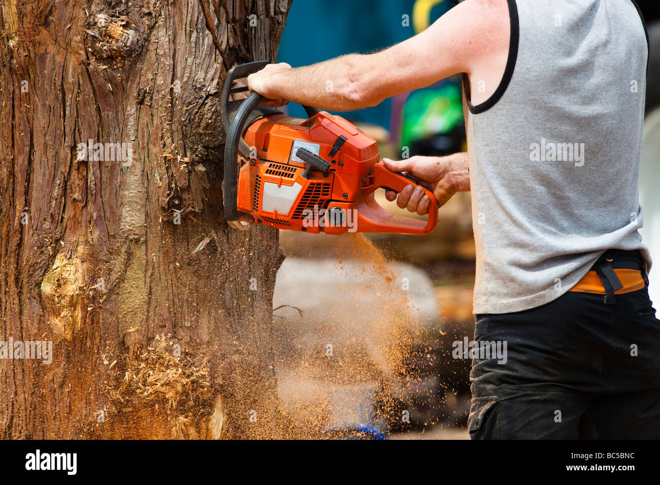 Cutting tree down hires stock photography and images Alamy
