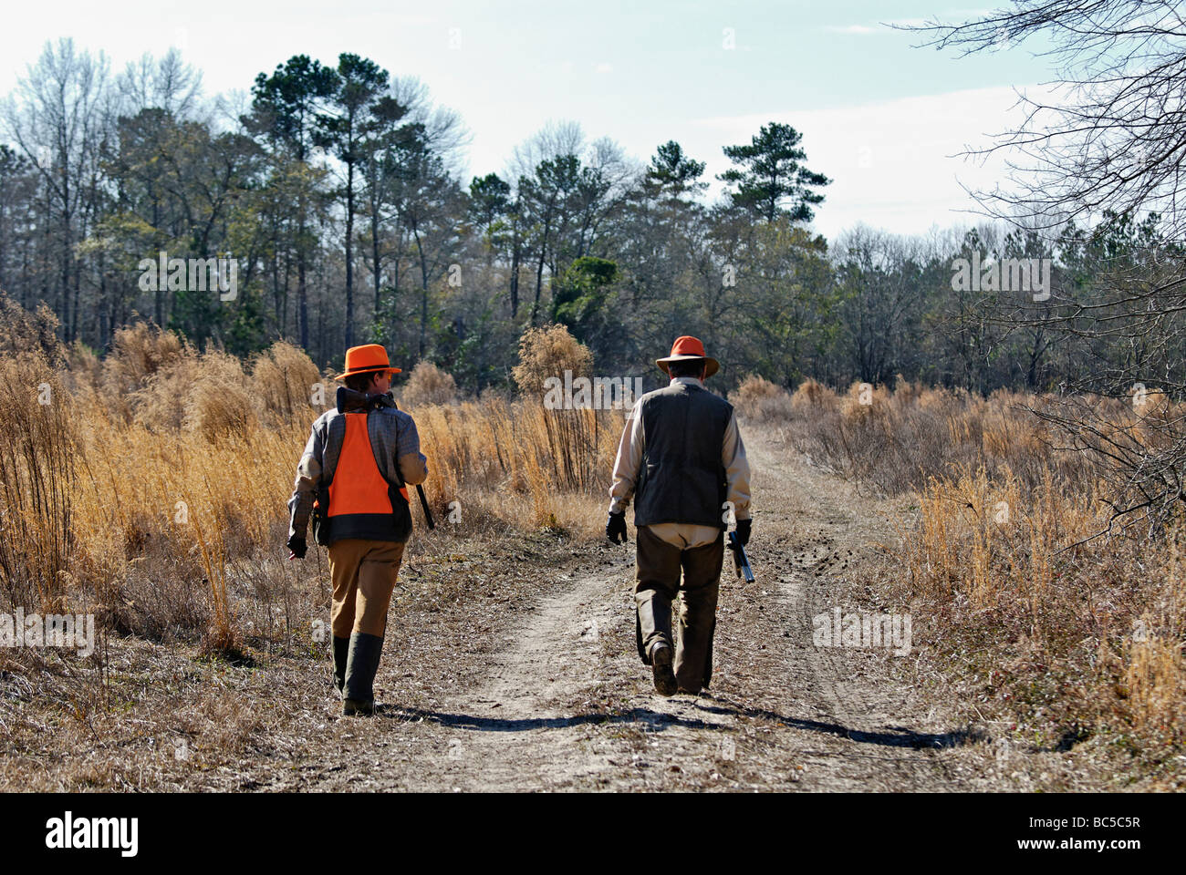 Upland Bird Hunters Walking Down Dirt Road in the Piney Woods of Georgia Stock Photo