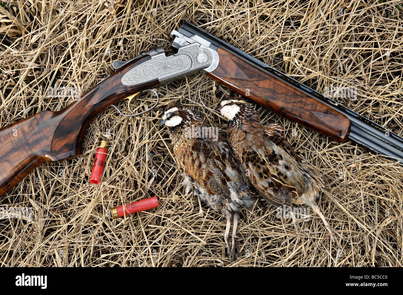 Two barrel shotgun hi-res stock photography and images - Alamy