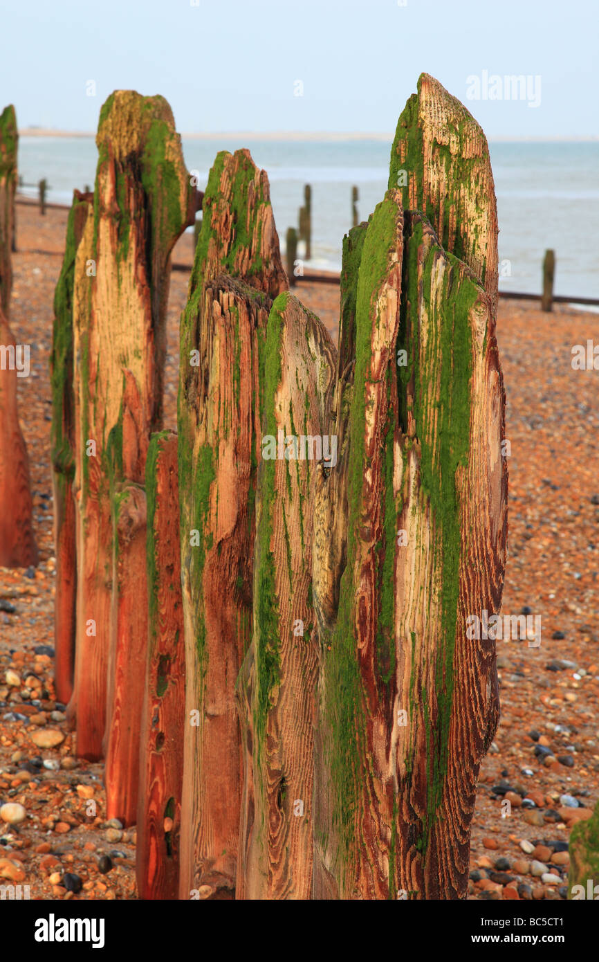 Groynes in Winchelsea Beach near Rye East Sussex England Stock Photo