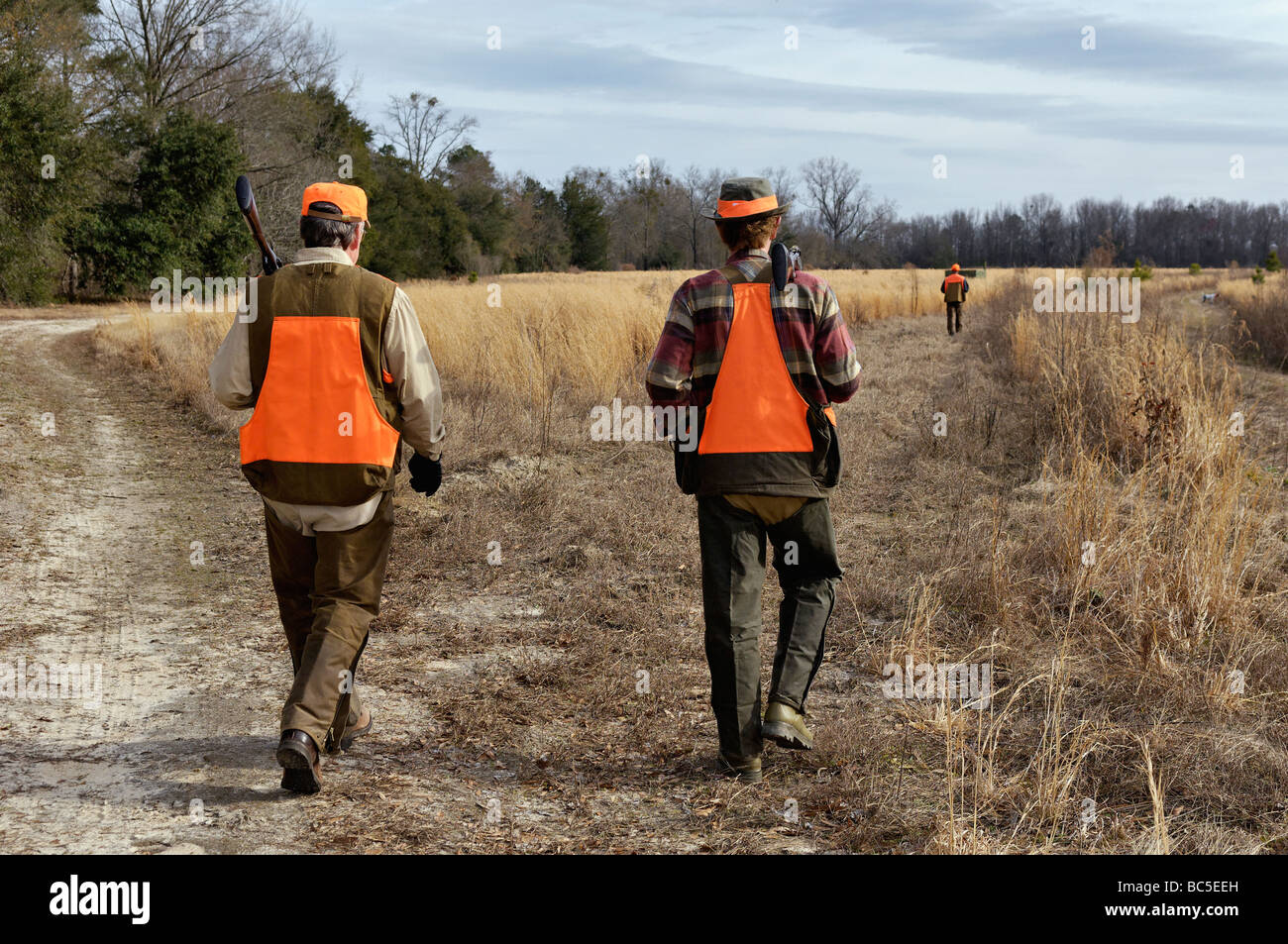Upland Bird Hunters Walking through Field at Buckeye Plantation with Bird Dog and Guide Ahead Stock Photo
