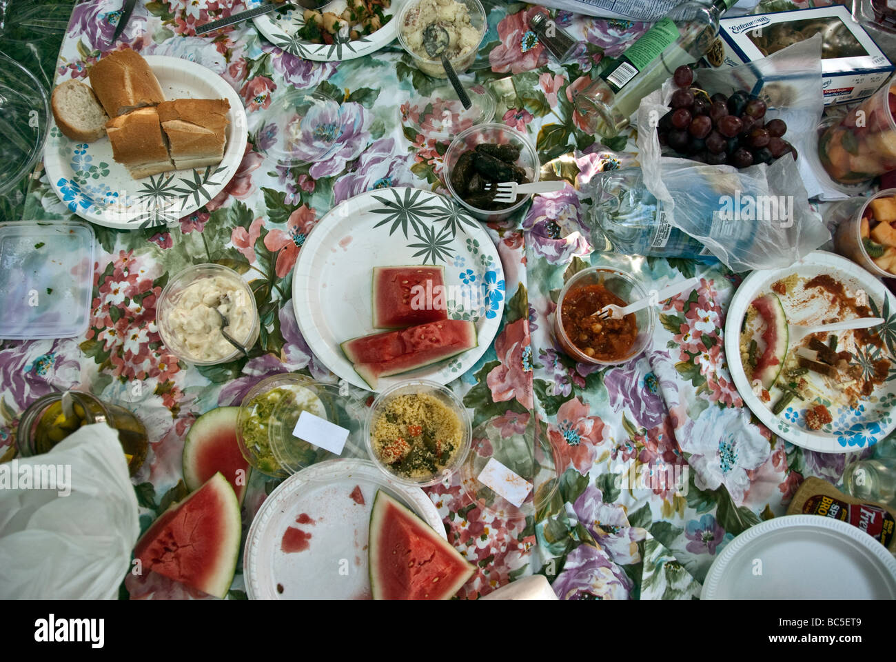picnic food including watermelon slices, crusty bread, guacamole, olives, pickles & potato salad spread over a rose print cloth Stock Photo