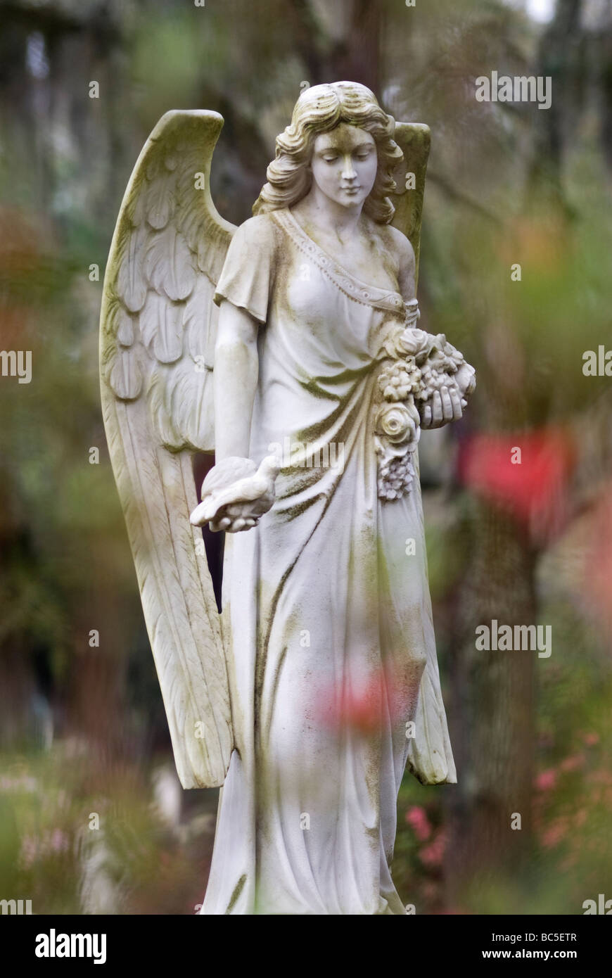 Statue of an Angel in Bonaventure Cemetery in Savannah Georgia Stock Photo