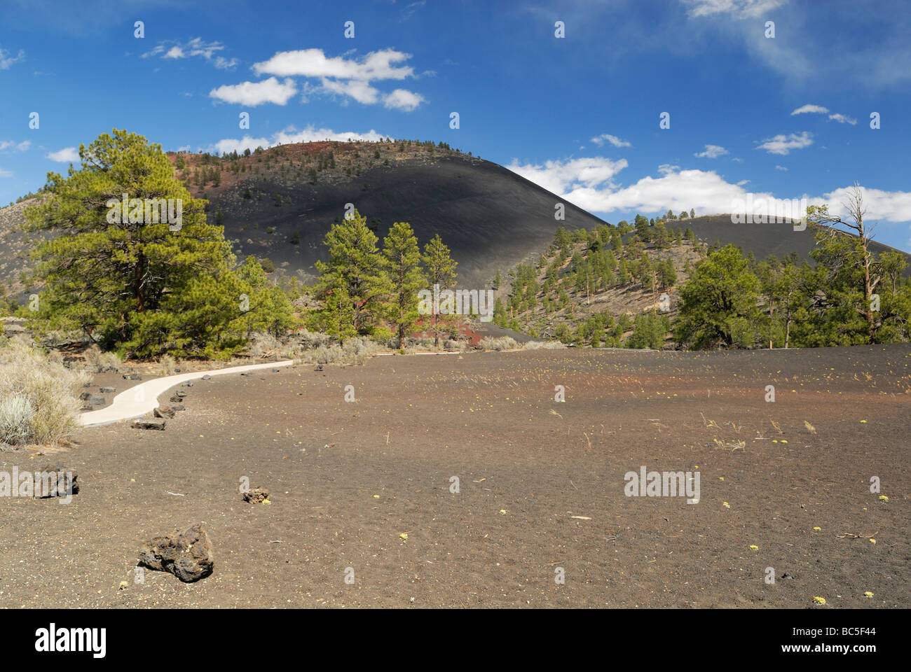Landscape in Sunset Crater Volcano National Monument, Arizona, USA ...