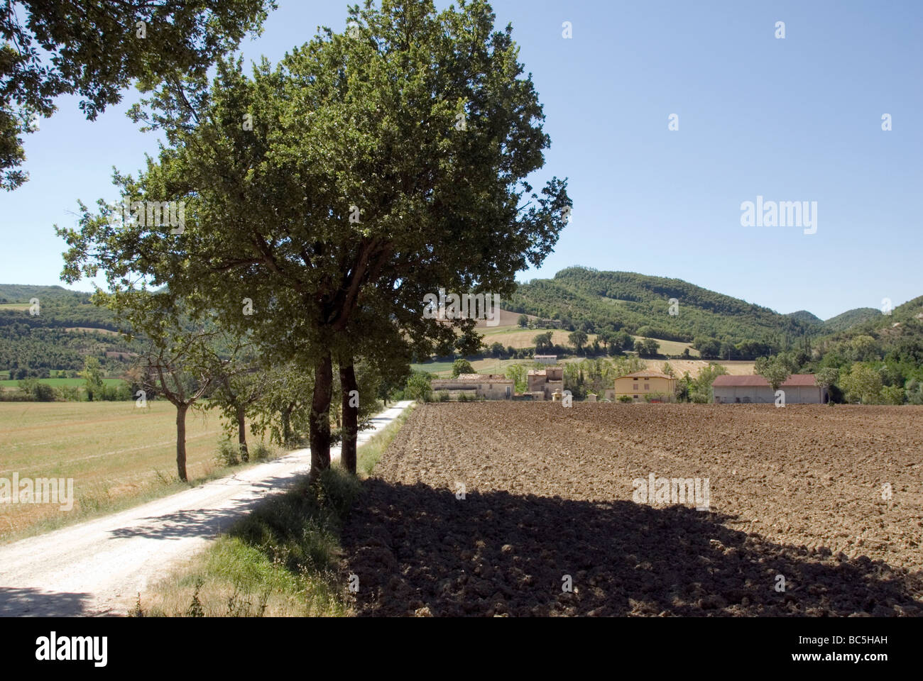 Typical rural road in Le Marche Stock Photo