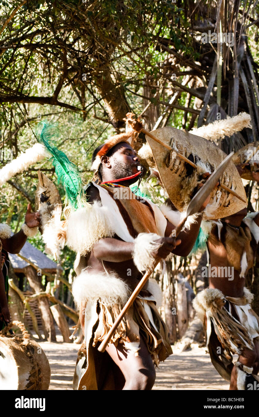 Zulu Warrior Dance High Resolution Stock Photography and Images Alamy