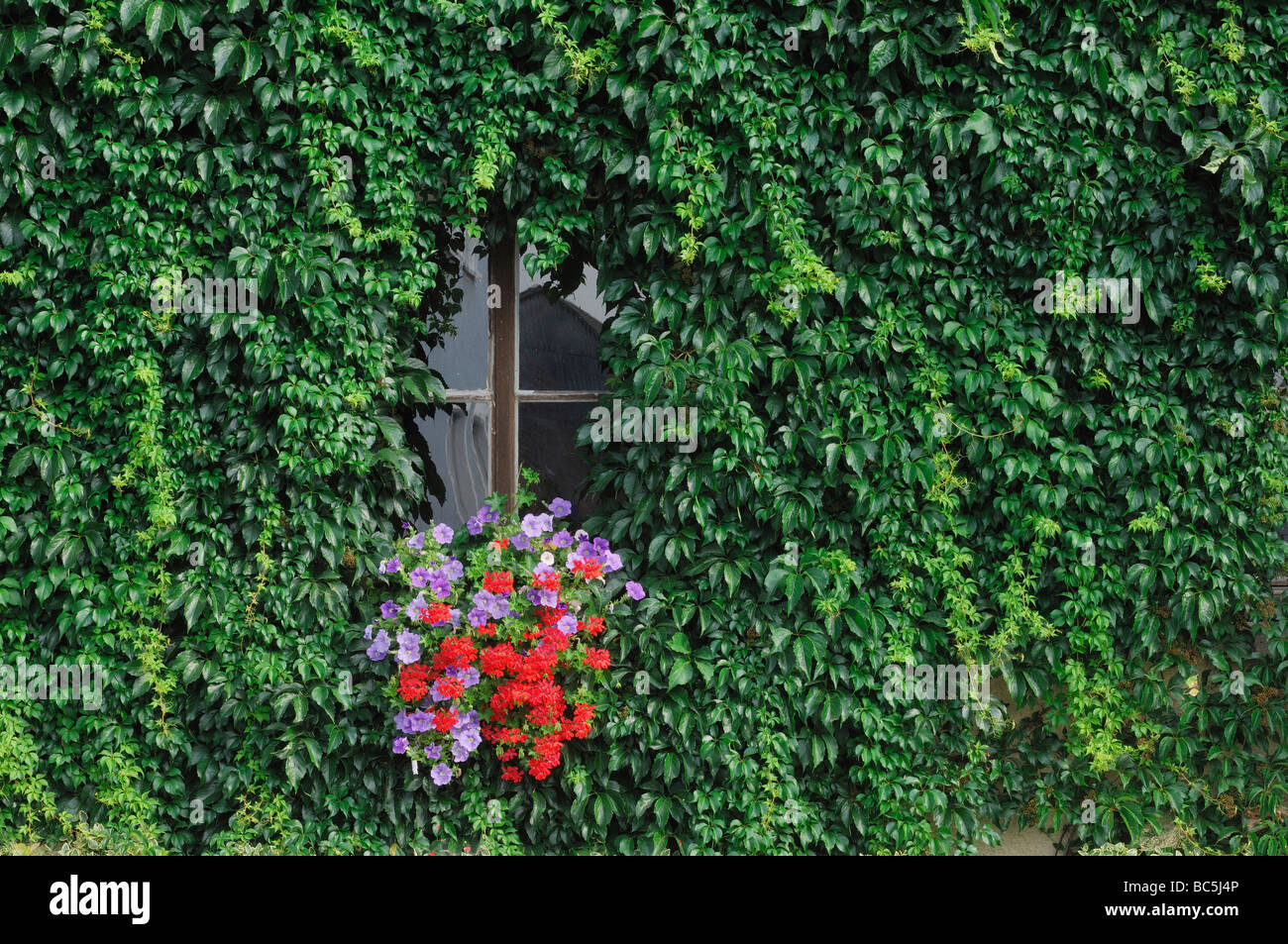 Bavaria flower boxes by windows hires stock photography and images Alamy