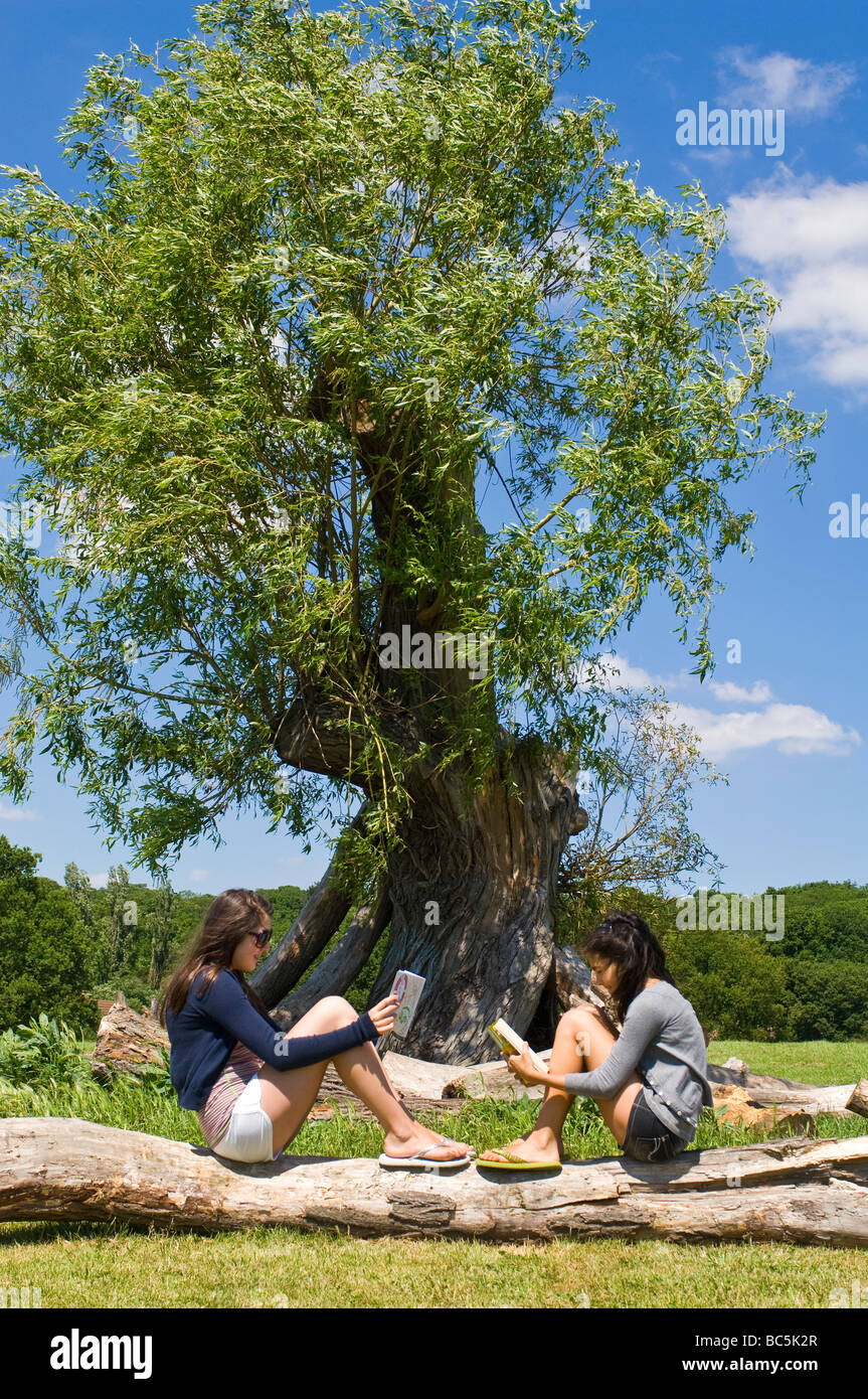 Vertical portrait of two attractive young teenage girls sitting together on a log reading books underneath a tree in the sun Stock Photo