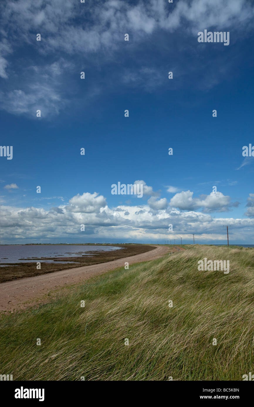 Spurn Stock Photo