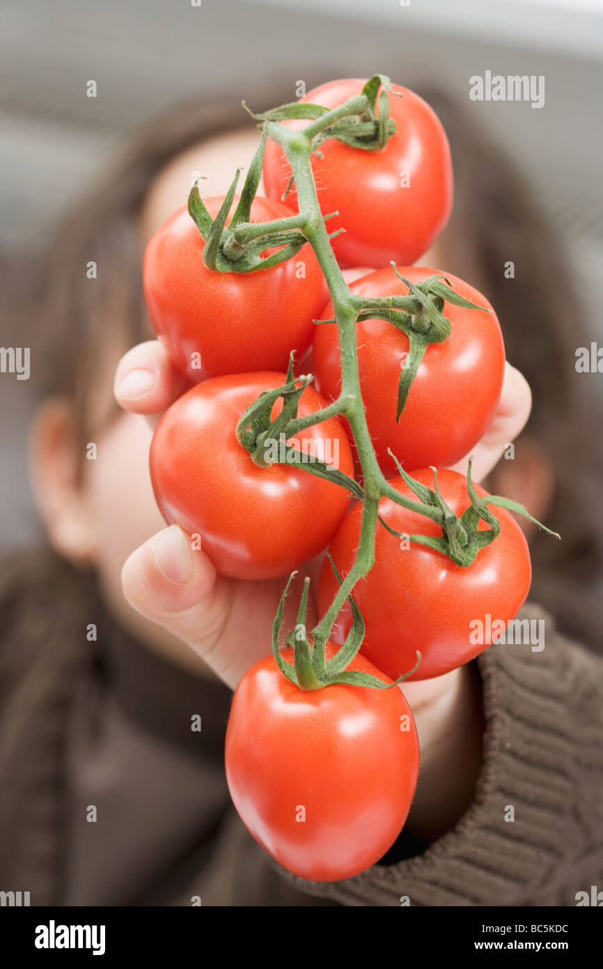 Girl holding tomatoes on the vine Stock Photo - Alamy