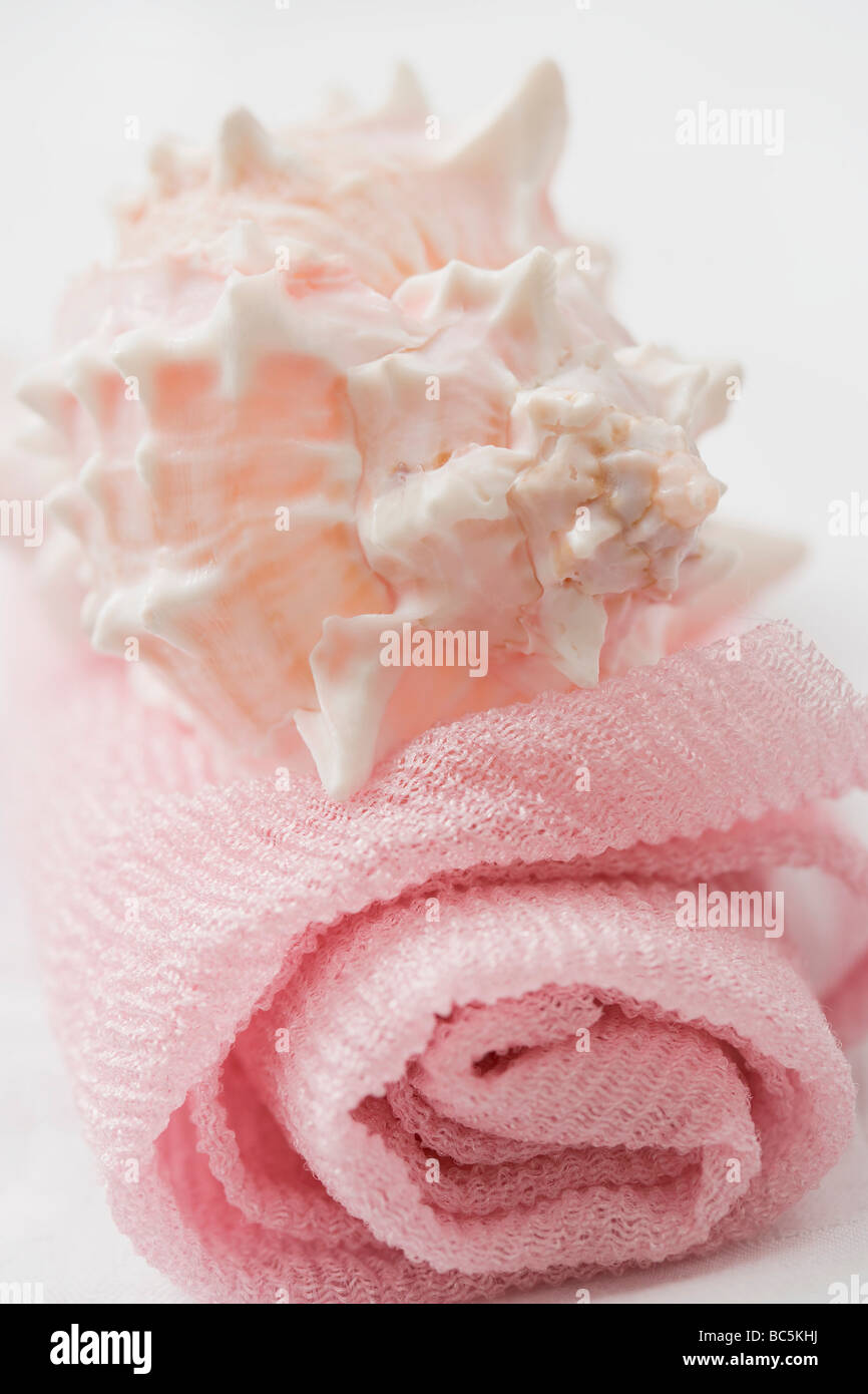 Shell cleanliness hi-res stock photography and images - Alamy