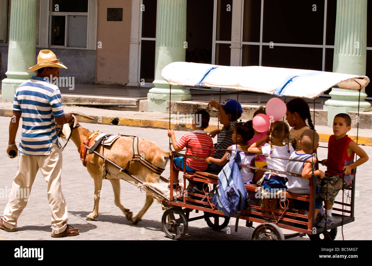 Local children celebrating with goat carriage ride in town square in ...