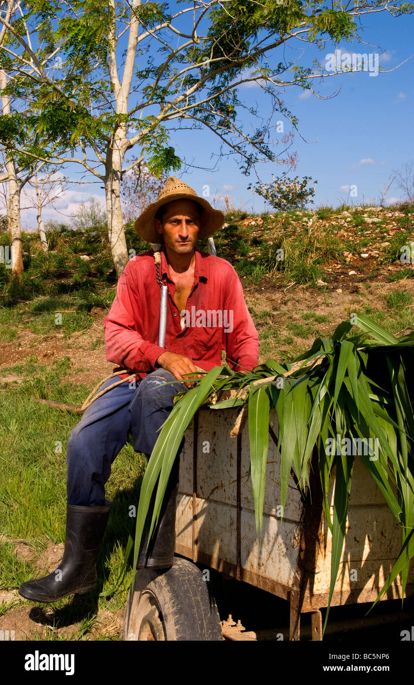 Farmer in red shirt and straw hat riding horse carriage with crops in