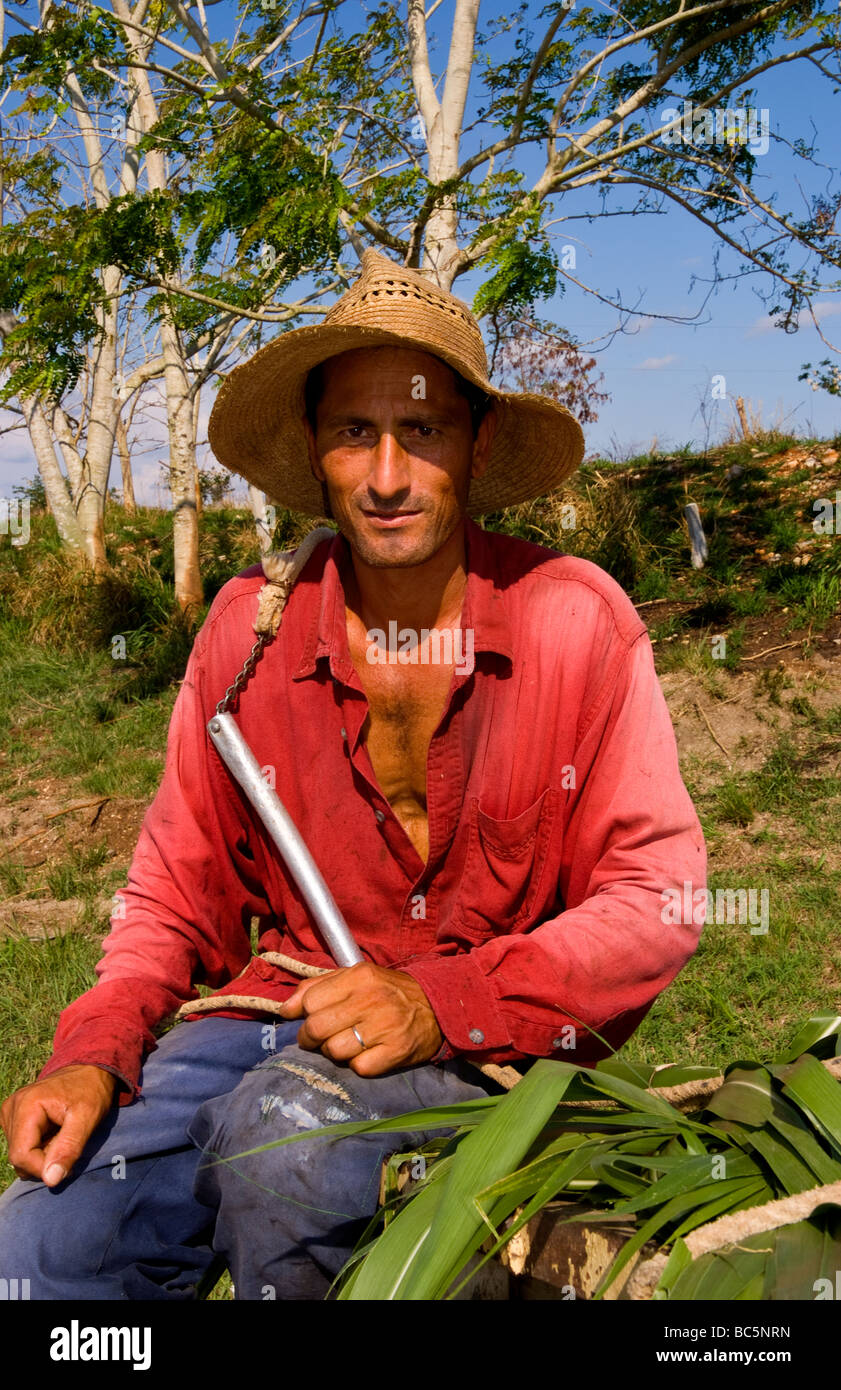 Farmer in red shirt and straw hat riding horse carriage with crops in