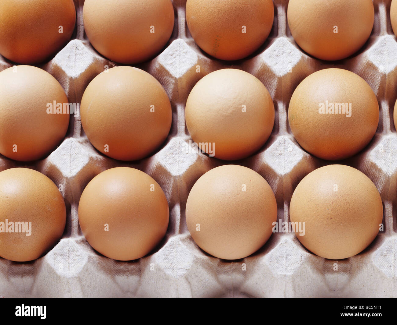 Brown eggs in an egg tray Stock Photo Alamy
