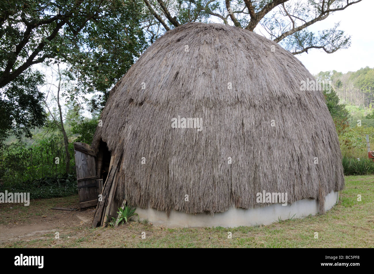 Traditional African Beehive Huts Swaziland Aouth Africa Stock Photo