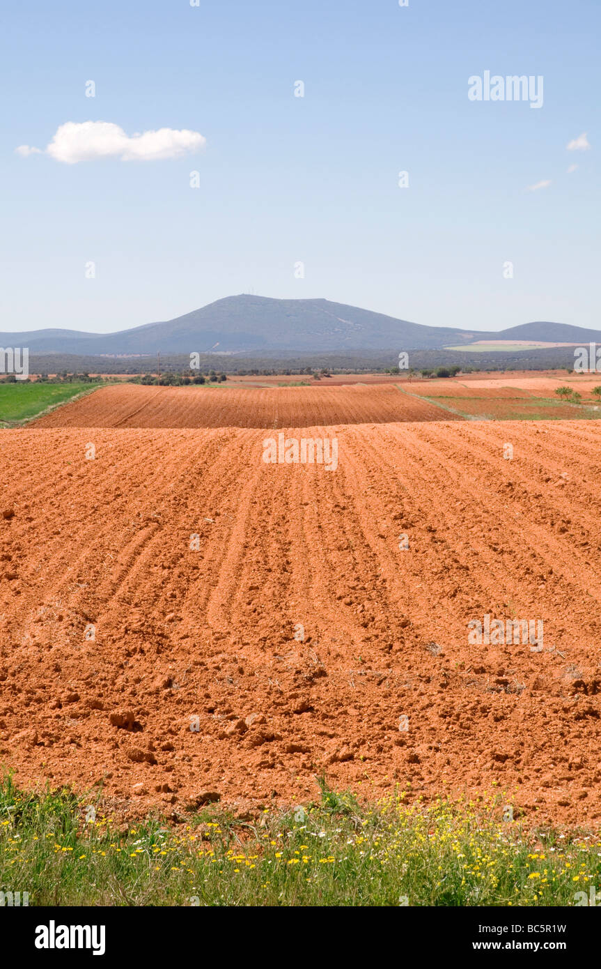Arado de la agricultura de campo hi-res stock photography and images ...