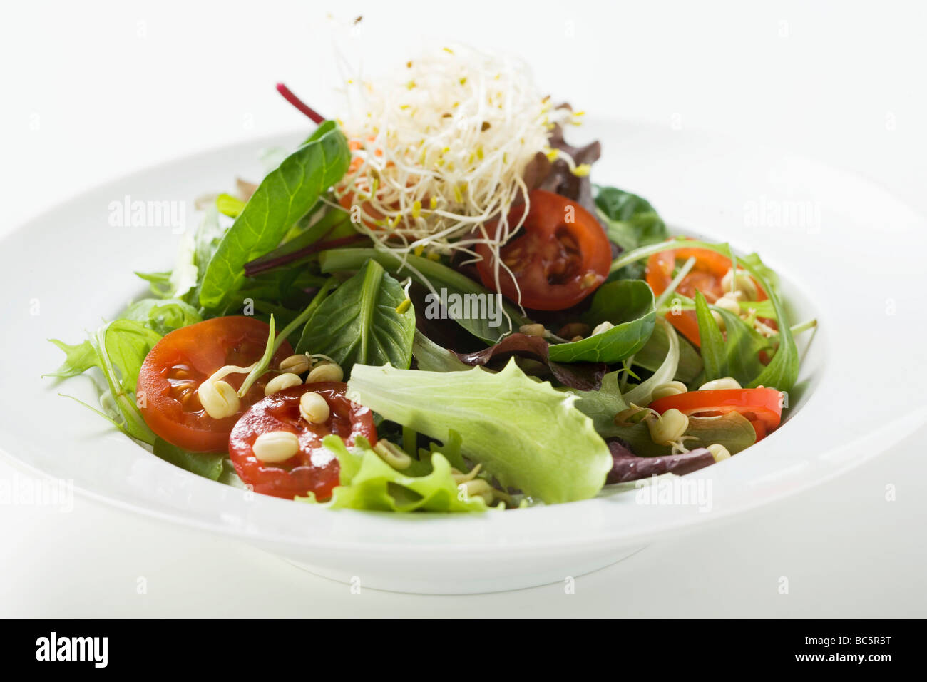 Mixed salad leaves with sprouts - Stock Photo