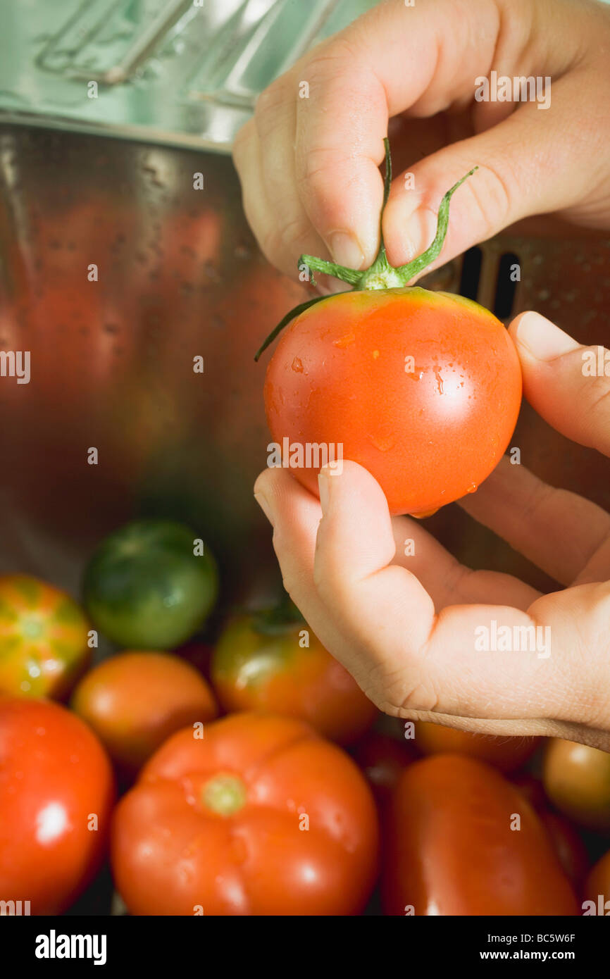 Hands removing stalk from tomato - Stock Photo
