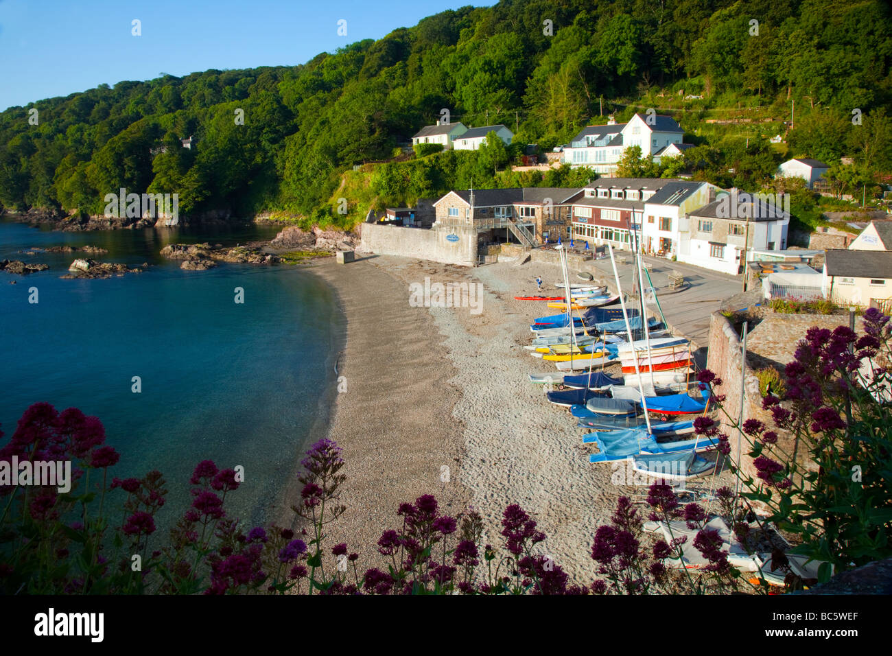 The popular Cornish coastal village of Cawsand bathed in sunlight with ...