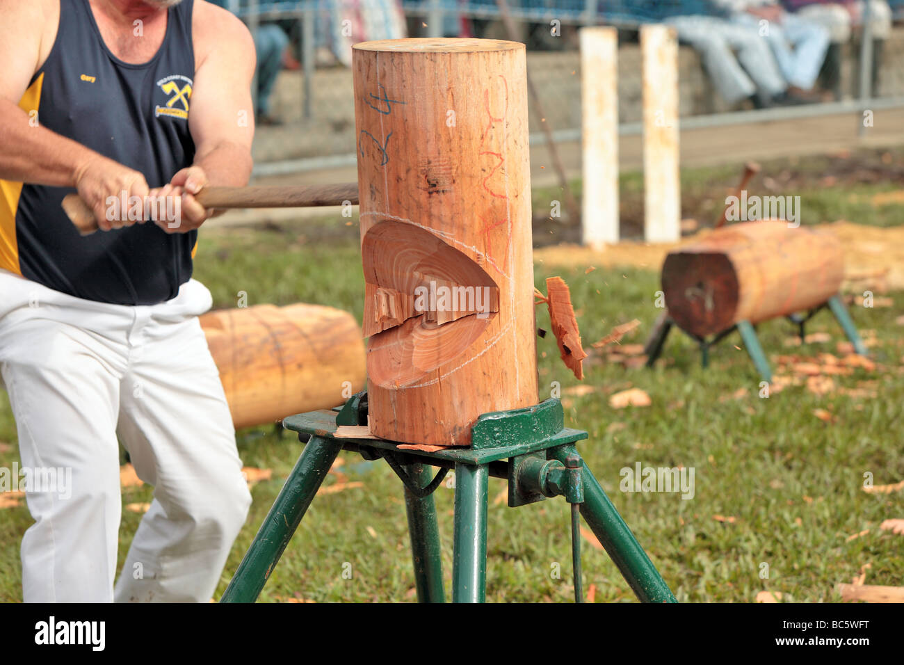 Wood chopping competition hi res stock photography and images Alamy