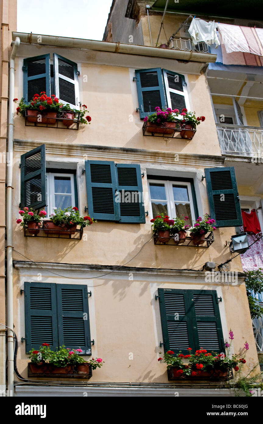 Louvered green wooden shutters at the windows and window boxes containing bright flowers in old Corfu Town Stock Photo