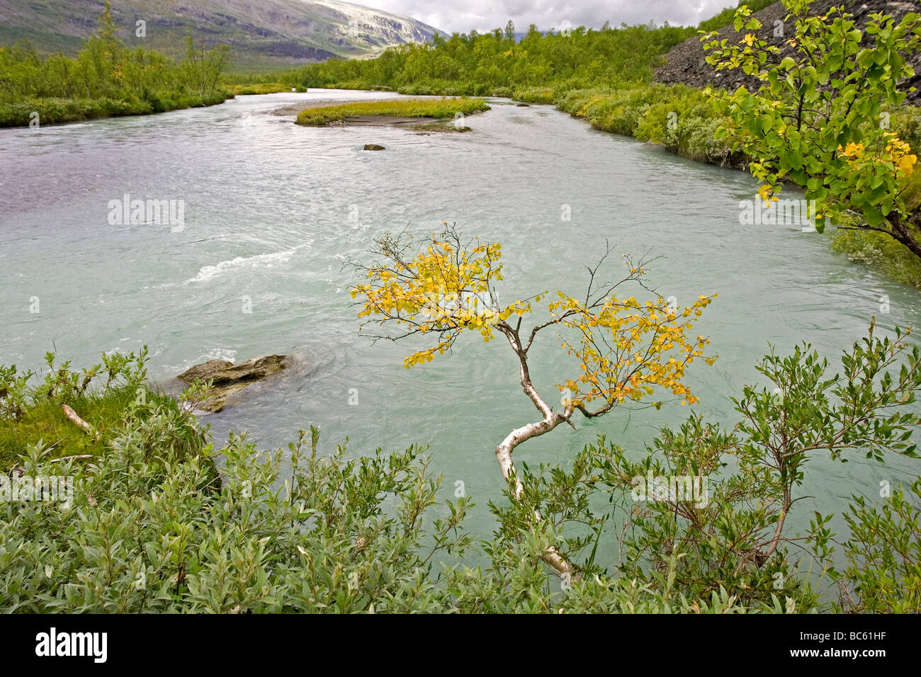 High angle view of river, Rapadalen, Sarek National Park, Jokkmokk Municipality, Lapland Province, Sweden Stock Photo