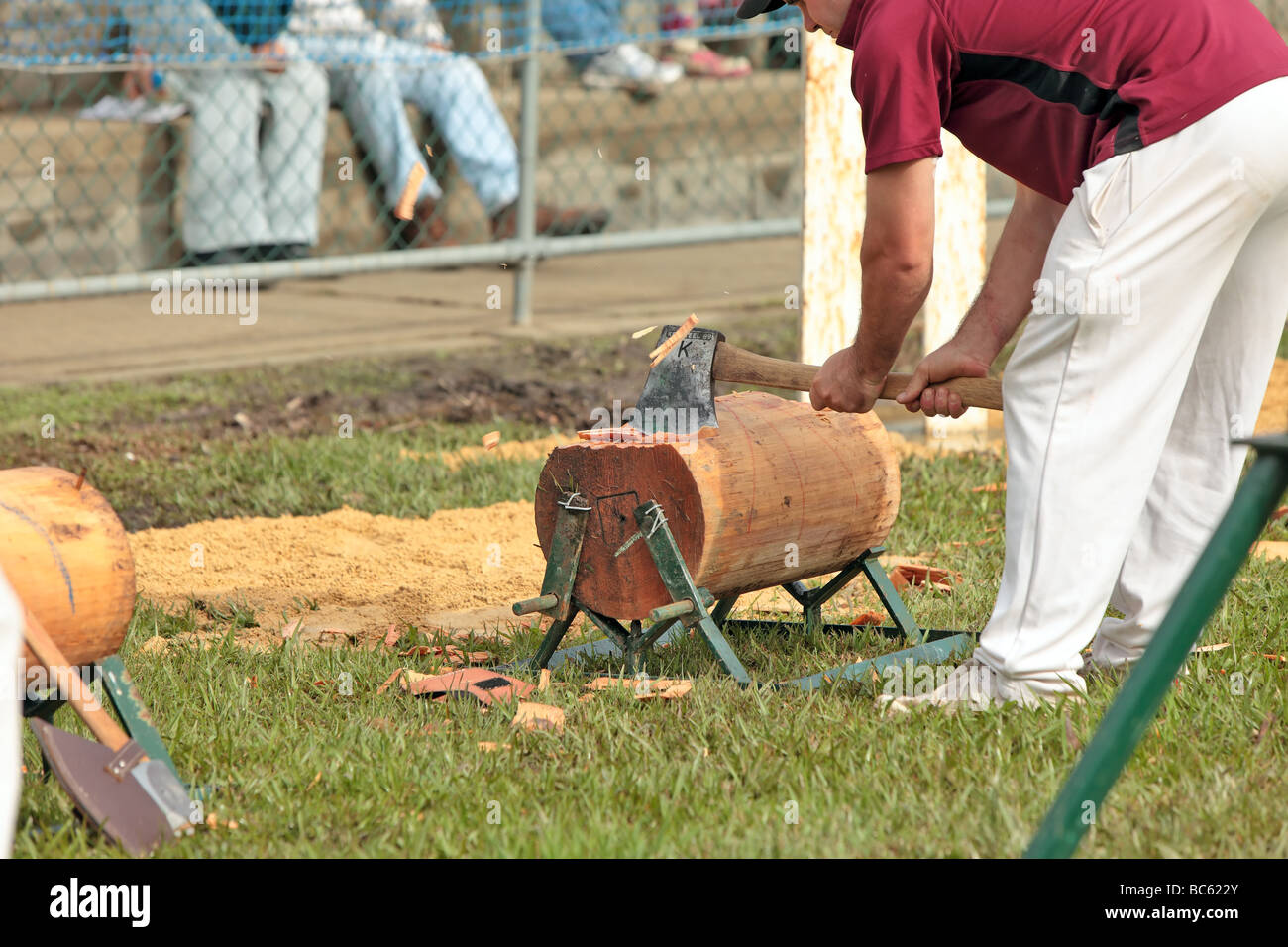 wood chopping competition with axemen in standing and upright competition Stock Photo